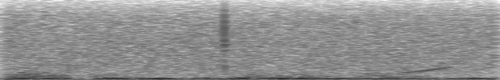 [Loading Spectrogram]
