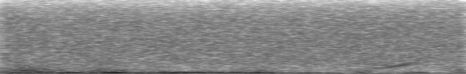 [Loading Spectrogram]