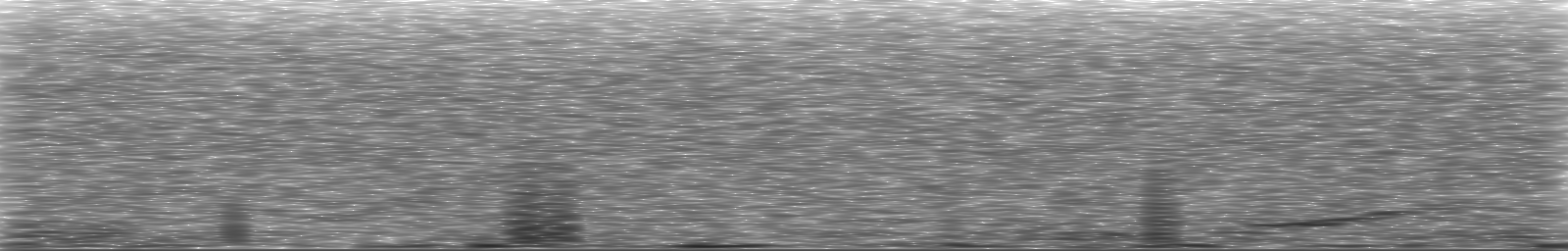 [Loading Spectrogram]