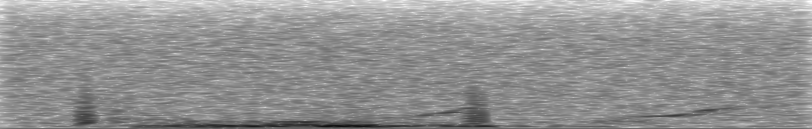 [Loading Spectrogram]