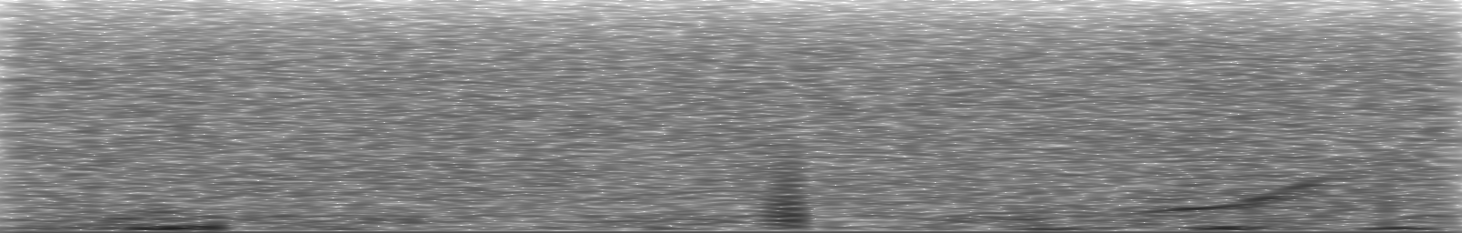 [Loading Spectrogram]