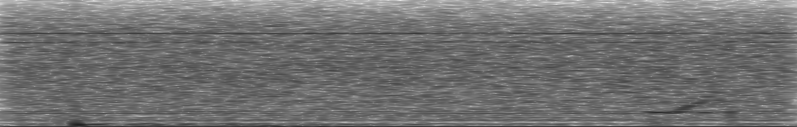 [Loading Spectrogram]