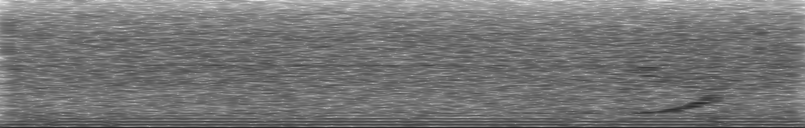 [Loading Spectrogram]