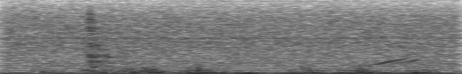 [Loading Spectrogram]