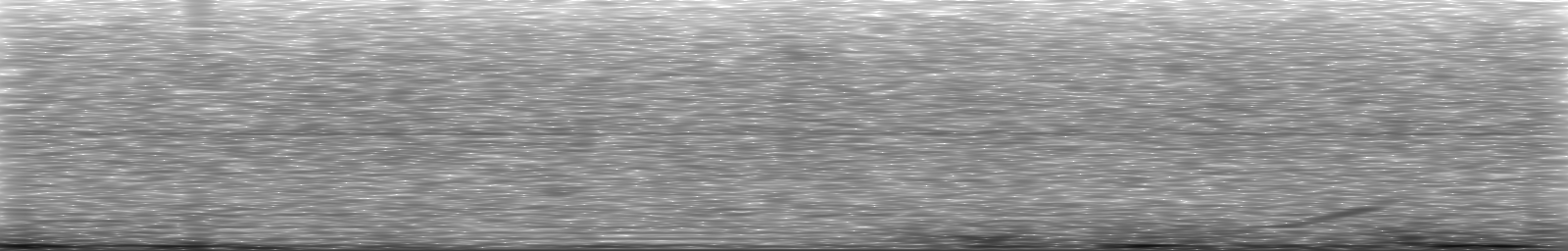 [Loading Spectrogram]