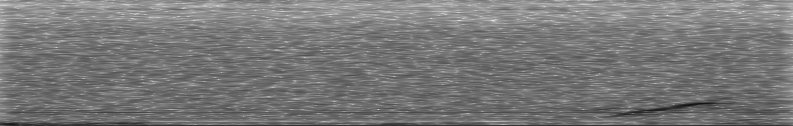 [Loading Spectrogram]