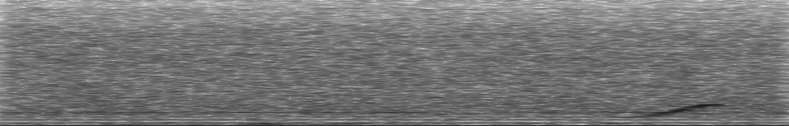 [Loading Spectrogram]