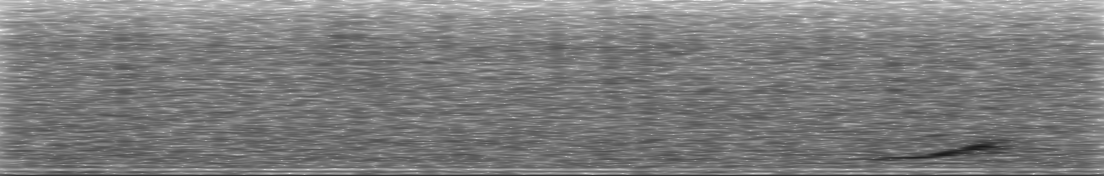 [Loading Spectrogram]