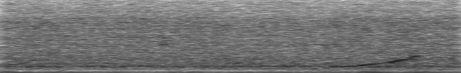 [Loading Spectrogram]