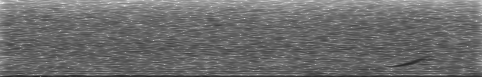 [Loading Spectrogram]