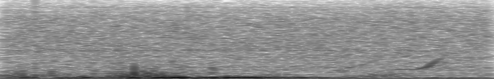 [Loading Spectrogram]