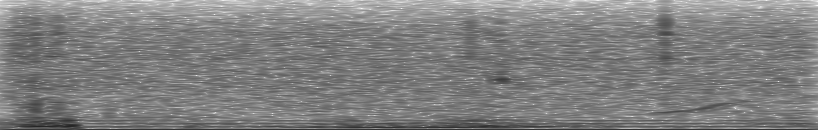 [Loading Spectrogram]