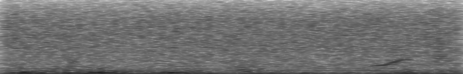 [Loading Spectrogram]
