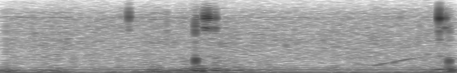[Loading Spectrogram]
