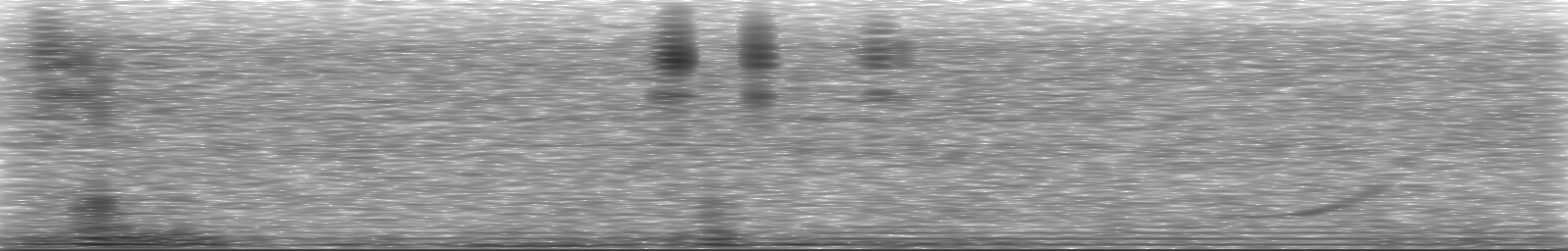[Loading Spectrogram]