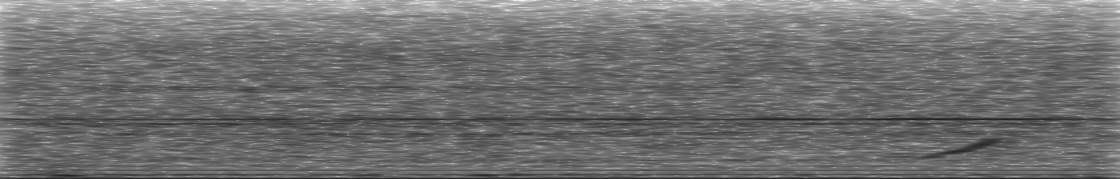 [Loading Spectrogram]