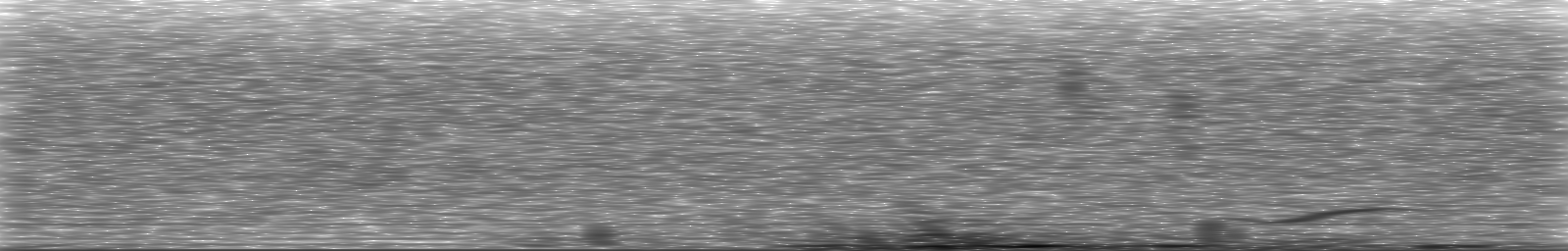 [Loading Spectrogram]