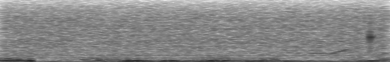 [Loading Spectrogram]