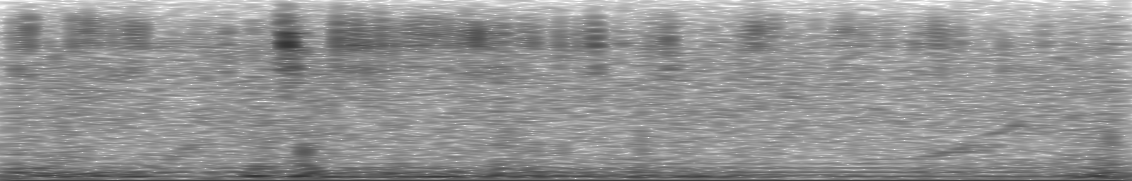 [Loading Spectrogram]