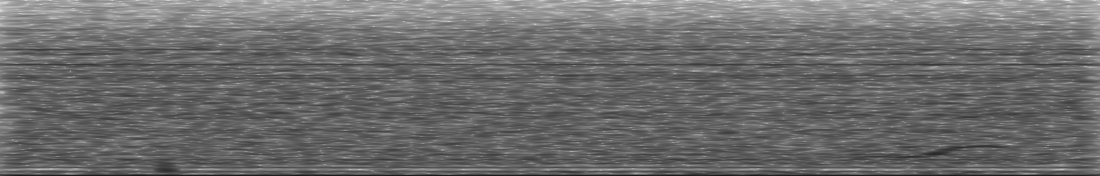 [Loading Spectrogram]