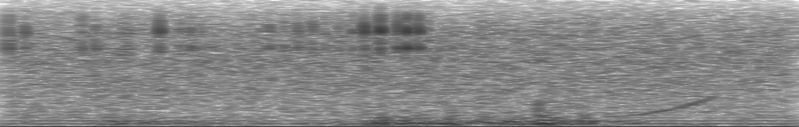 [Loading Spectrogram]