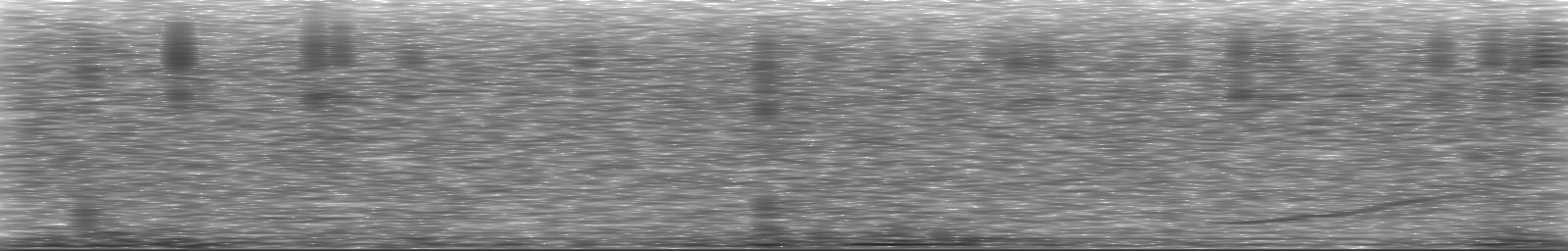 [Loading Spectrogram]