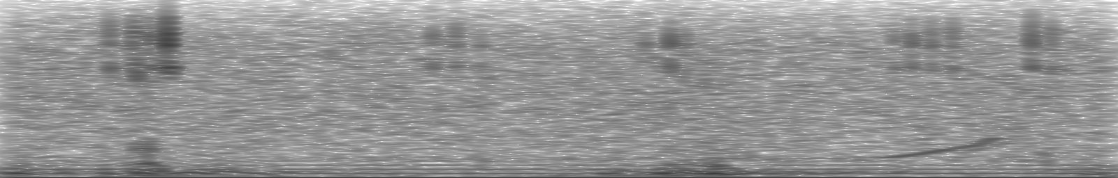 [Loading Spectrogram]