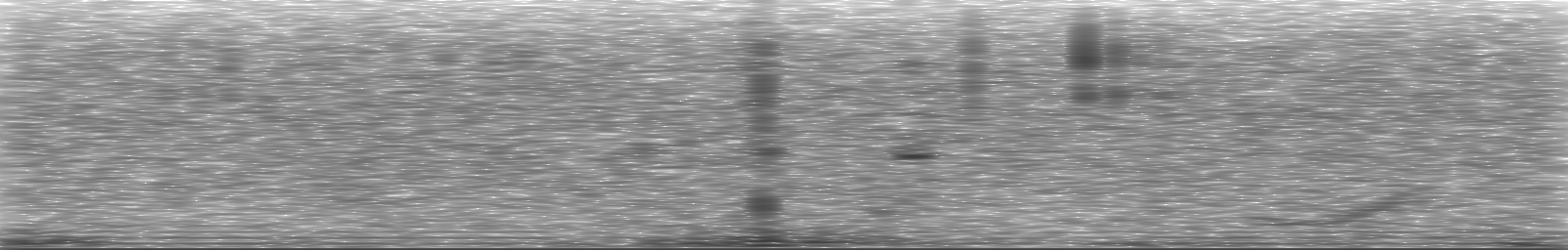 [Loading Spectrogram]