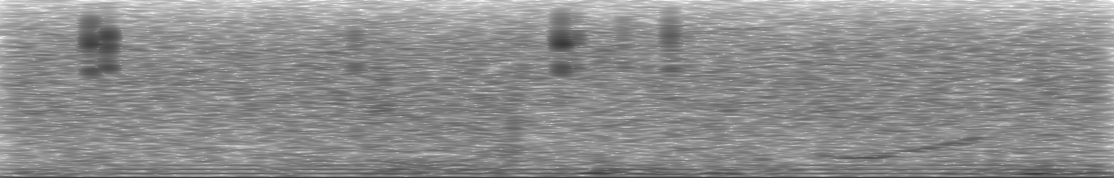 [Loading Spectrogram]