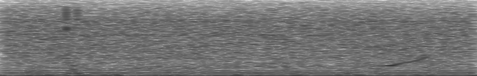 [Loading Spectrogram]