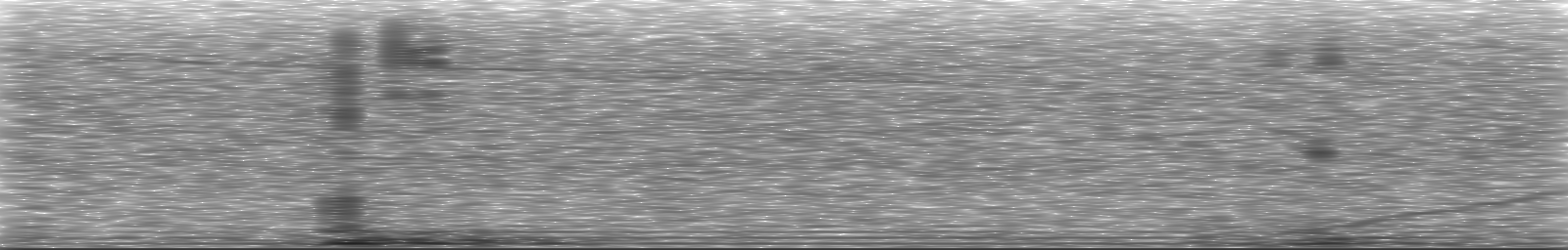 [Loading Spectrogram]