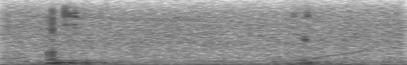 [Loading Spectrogram]