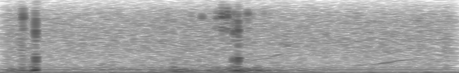 [Loading Spectrogram]