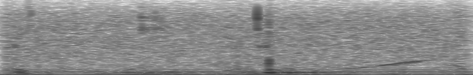 [Loading Spectrogram]