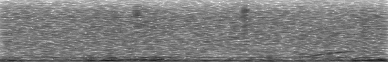 [Loading Spectrogram]