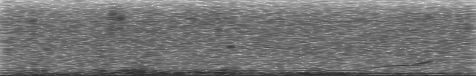 [Loading Spectrogram]