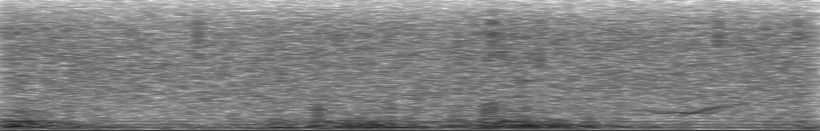 [Loading Spectrogram]