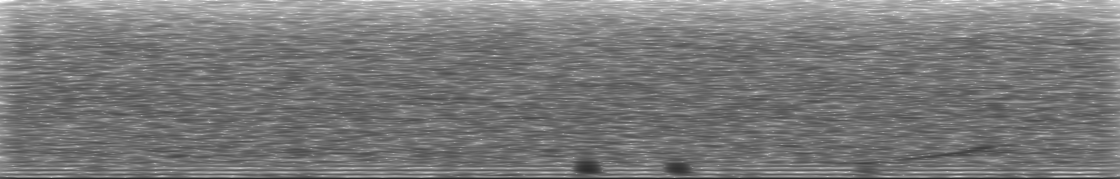 [Loading Spectrogram]