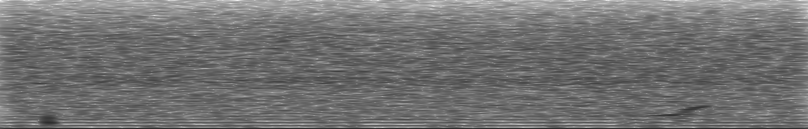[Loading Spectrogram]
