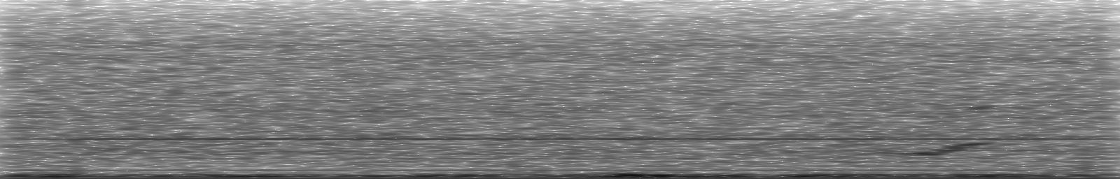 [Loading Spectrogram]