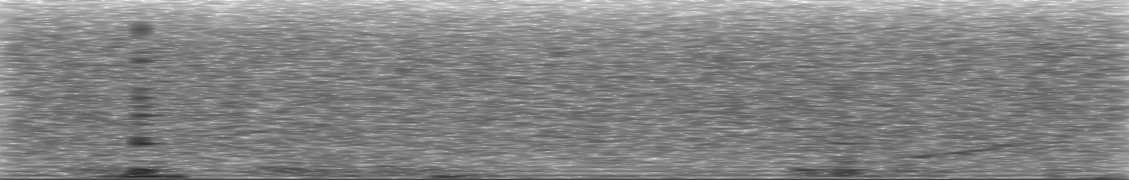 [Loading Spectrogram]