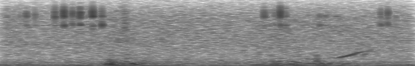 [Loading Spectrogram]