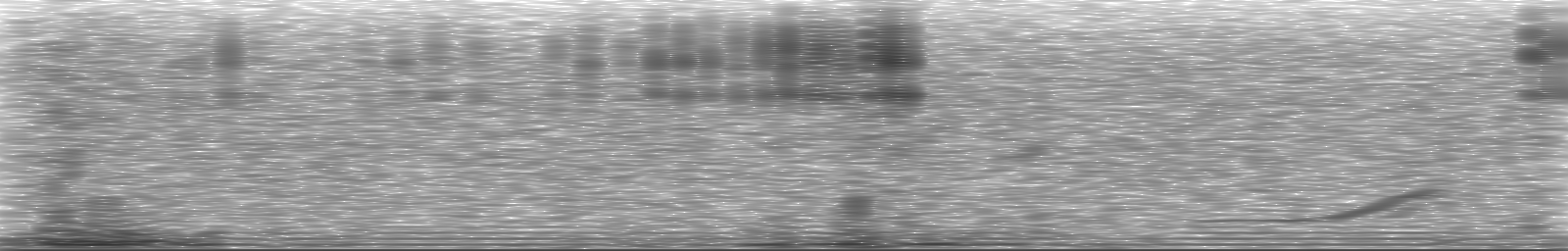 [Loading Spectrogram]