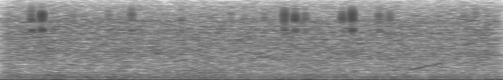 [Loading Spectrogram]
