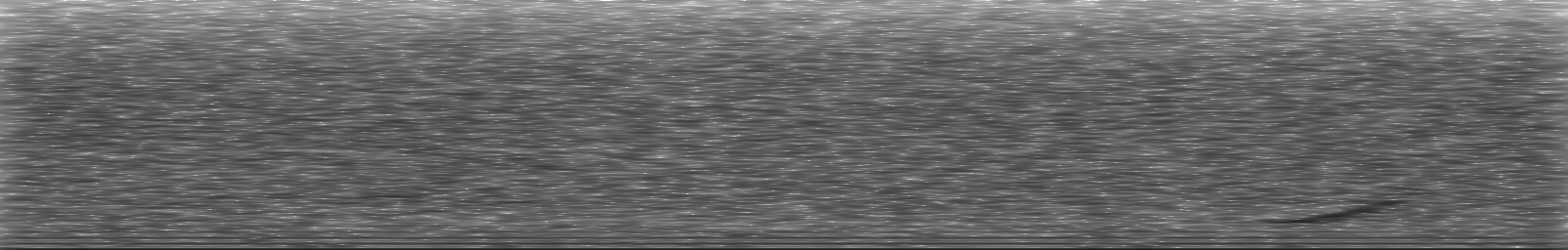 [Loading Spectrogram]