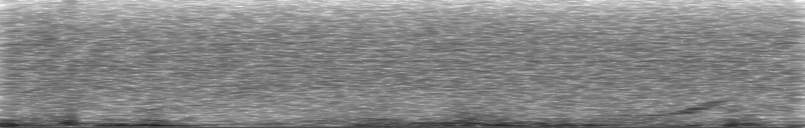 [Loading Spectrogram]