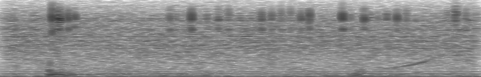 [Loading Spectrogram]