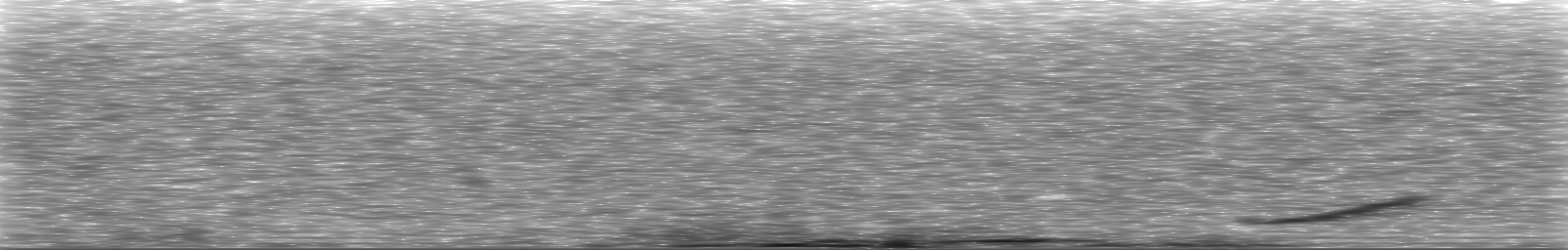 [Loading Spectrogram]
