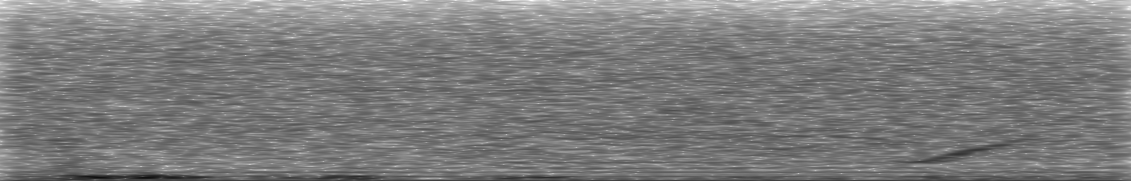 [Loading Spectrogram]