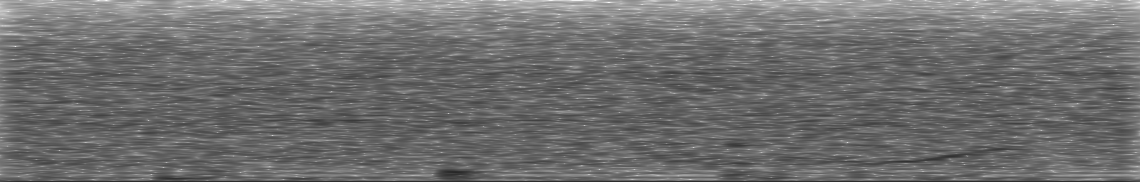 [Loading Spectrogram]